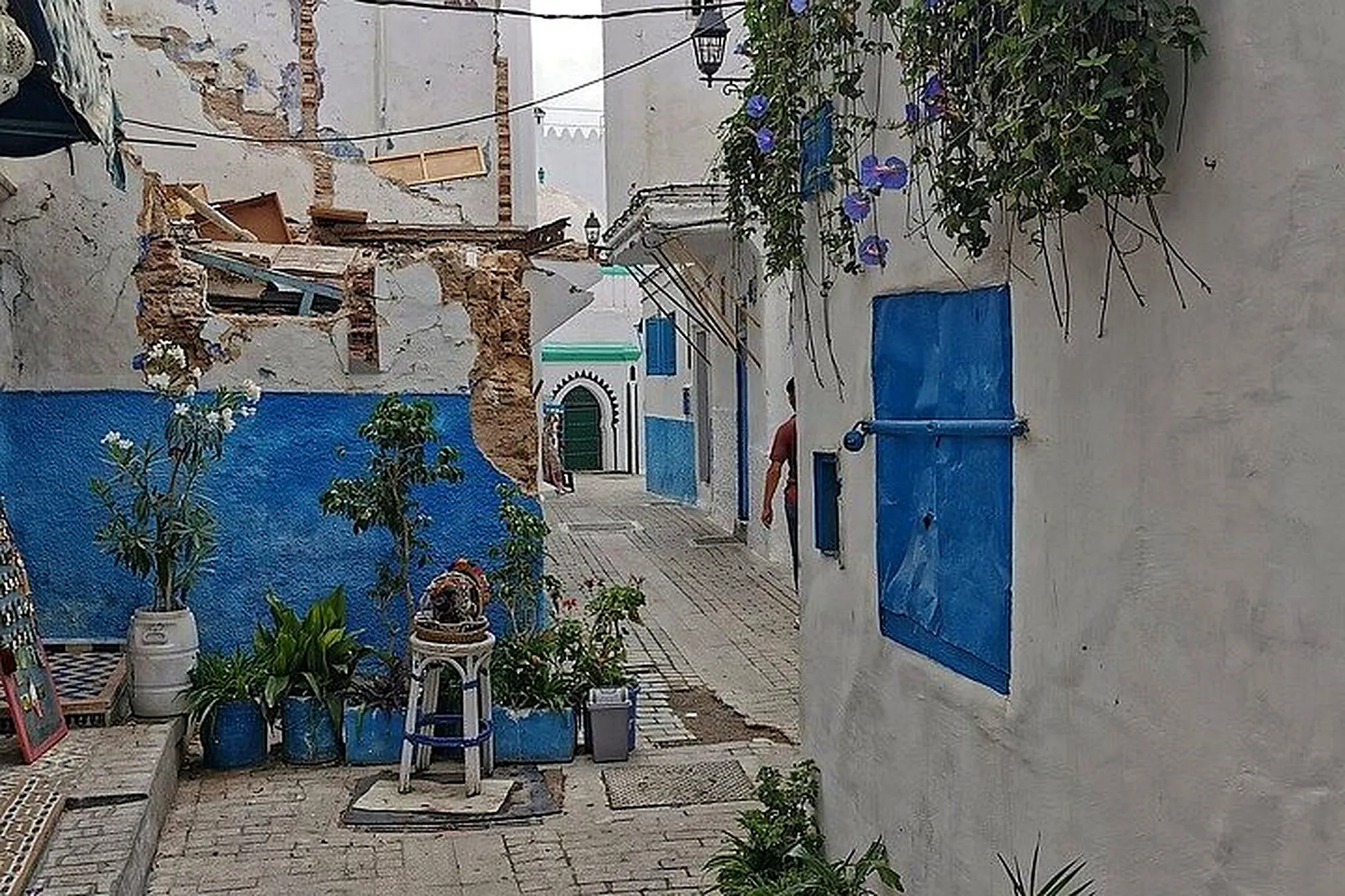 Blue walls and potted plants in a Medina street
