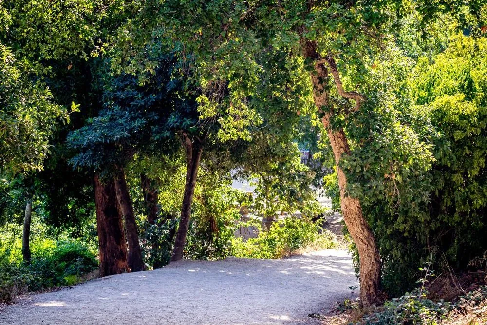 A shaded path in Perdicaris Park